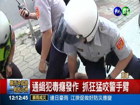 通緝犯毒癮發 狂咬員警企圖奪槍