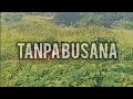 VIRAL RITUAL ALIRAN SESAT TANPA BUSANA DIREKAM WARGA