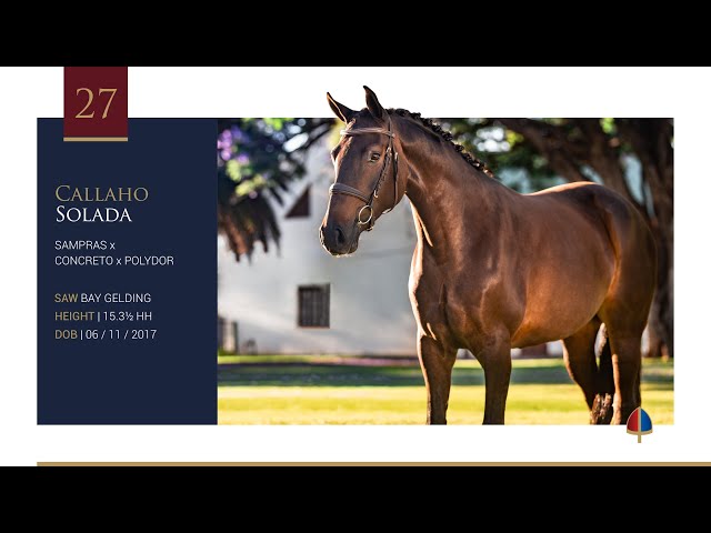 Callaho Solada