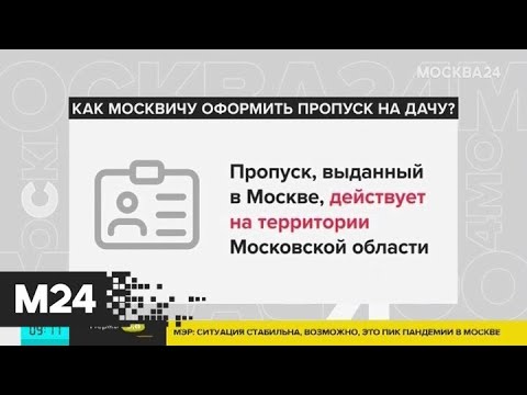Справку об отсутствии коронавируса могут спросить для въезда в Ярославскую область - Москва 24