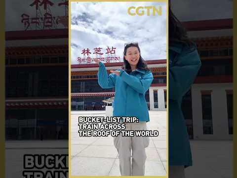 Lhasa-Nyingchi railway marks five years