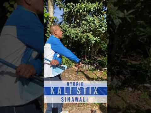Sinawali Hybrid heaven 6 - Kali sticks striking combo