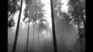 Prurient - Apple Tree Victim