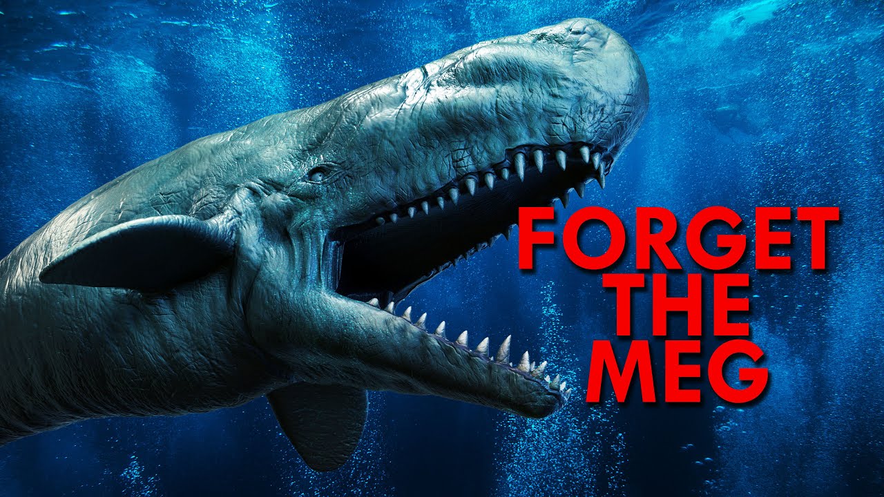 This Prehistoric Sperm Whale Was A Leviathan