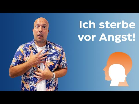 Panikattacken (Was sie sind, woher sie kommen, was man tun kann)