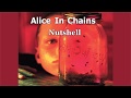 Alice In Chains - Nutshell (Karaoke)