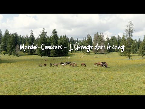 Marché-Concours - L'élevage dans le sang