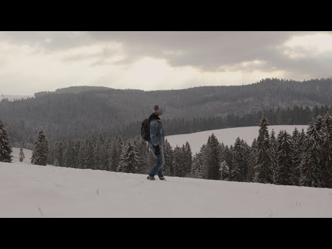 OstryBezimienni - NIC NA SIŁĘ feat. Weronika Gnida | BIT: Żabeats