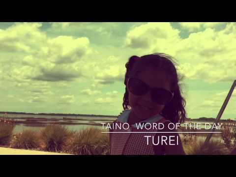 Taino Word of the Day: Turei = Sky