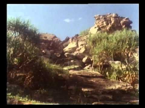 Experience Australia (1985)