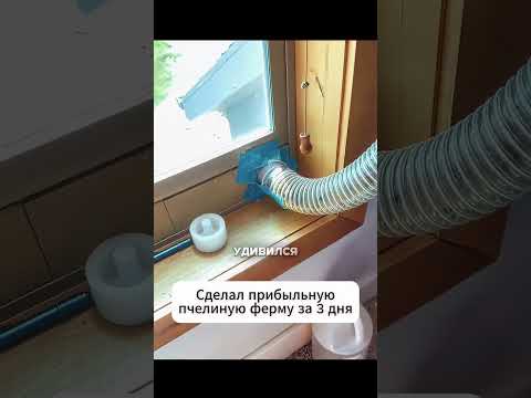 Эпичная концовка. Сделал домашнюю пчелиную ферму? #shorts #опрос #юмор