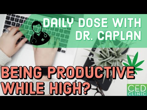 Productivity While High Daily Dose With Dr Caplan