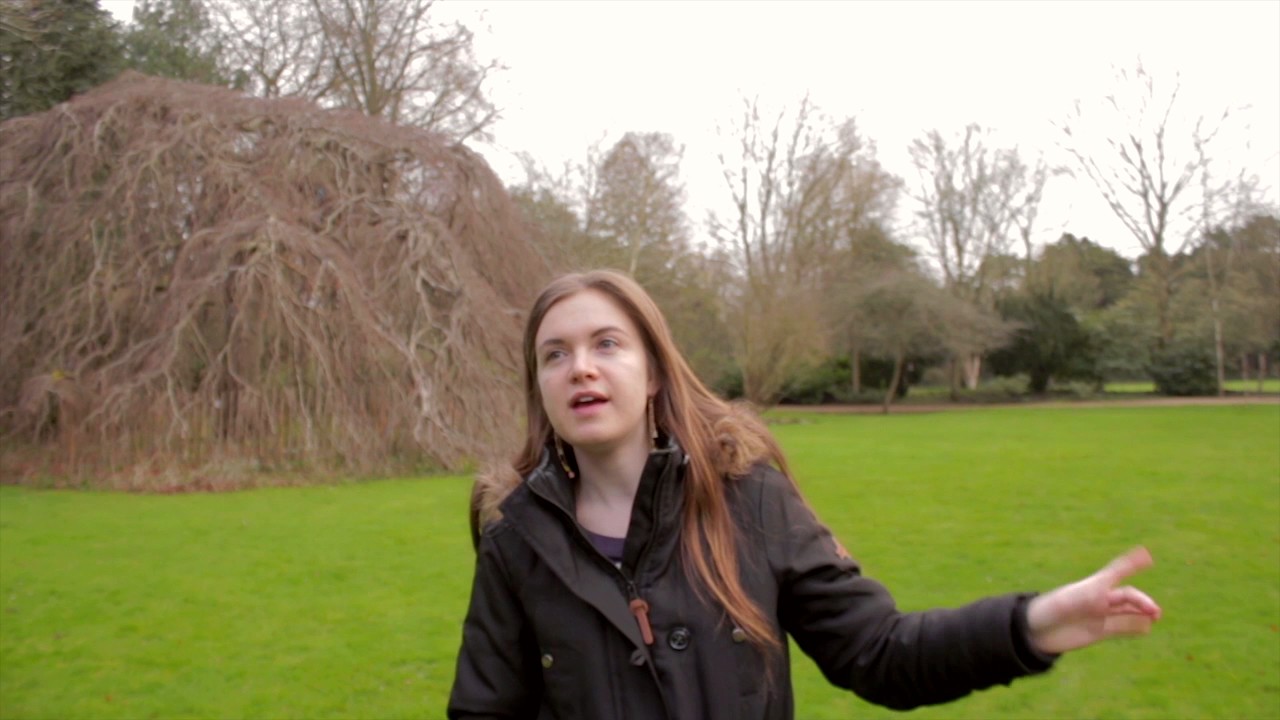 Studying Geography at St John's College