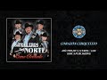Los Traileros del Norte - Corazón Chiquitito ( Audio Oficial )