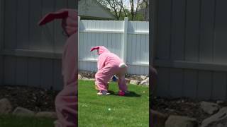 disgruntled Easter bunny...  LOL