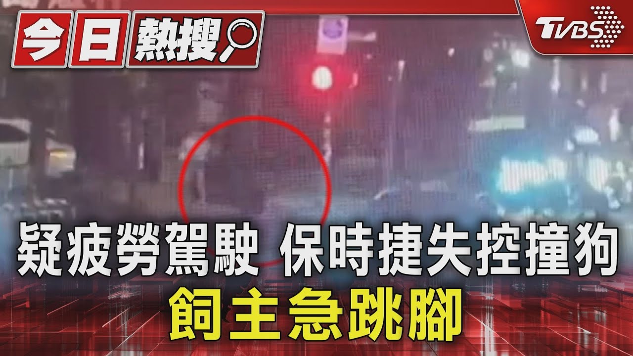 疑疲勞駕駛!保時捷失控撞狗 飼主急跳腳