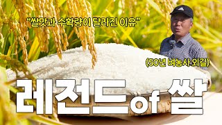 쌀값 올리는 비밀, 진짜 있었다.. 벼농사 50년 노하우 공개????
