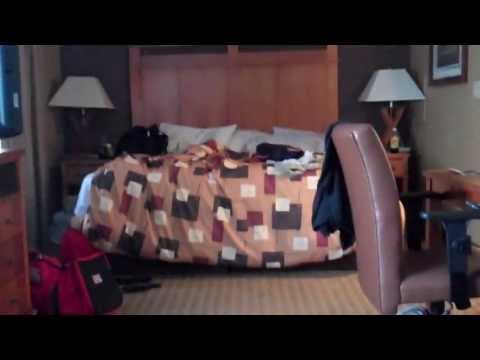 hilton garden inn allentown west hotel