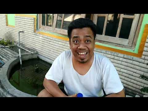 toni-belok-kiriguyonjowoklawakhiburanultahnikahrecehhumorngakakviralinspiratif