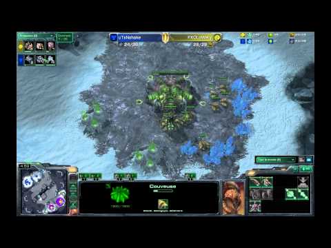 [ZrT-SC2] - Nshake(T) / Lowely(Z) - VOD #316
