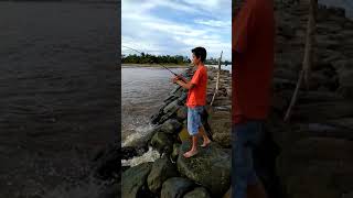 preview picture of video 'Mancing Mania Strek Bertubi tubi ikan gaguak ( Patin Laut) Pantai Sasak Pasaman Barat'