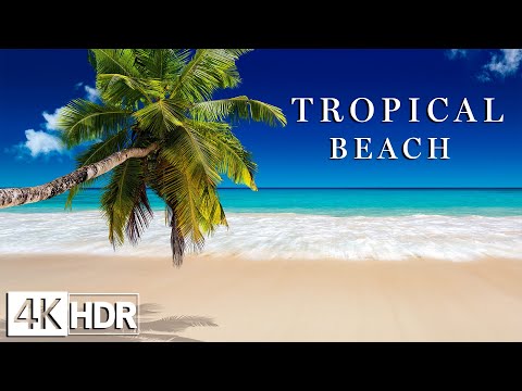 Tropical Beach 4K Relaxation Film - Relaxing Piano Music - Natural Landscape