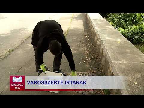 Videó előnézet