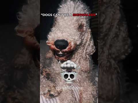Dogs can’t be a skinwalker 💀