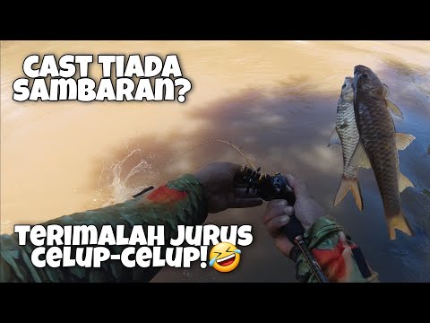 Celup-Celup Sebarau Air Keruh