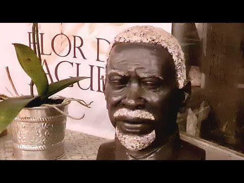 SETE ESTRELAS - ANIVERSÁRIOS FLOR DE JAGUBE & MARCOS MOYSÉS - 25/02/23