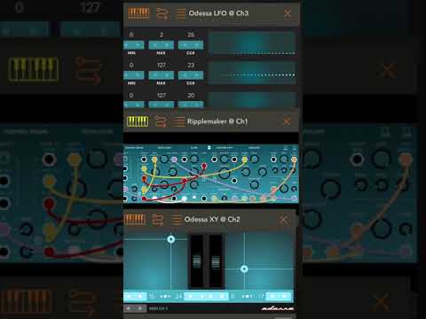 Odessa (now Rozeta Sequencer Suite) iOS app from Bram Bos, first try