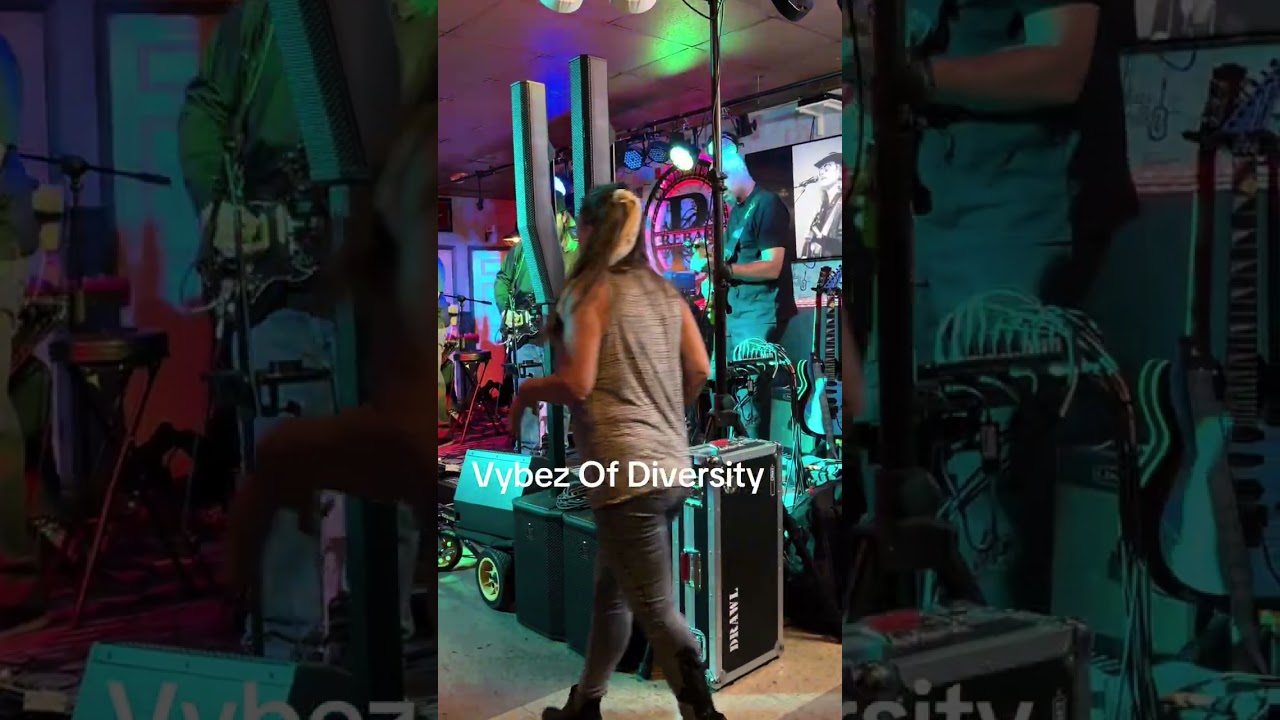 Promotional video thumbnail 3 for Vybez Of Diversity