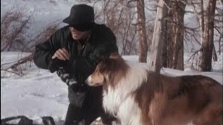 Lassie - Episode #391 - "In the Eyes of Lassie" - Season 12, Ep. 6 - 10/17/1965