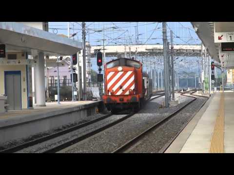 Marcha para MNF - Pinhal Novo