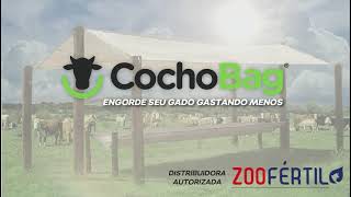 CochoBag - Depoimento