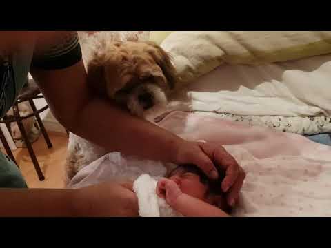 Baby's first hot towel body clean 🚿