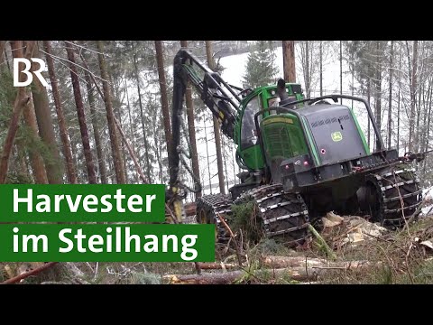 Mit Harvester und Seilwinde: Bäume fällen am Steilhang im Frankenwald | Agrartechnik | Unser Land