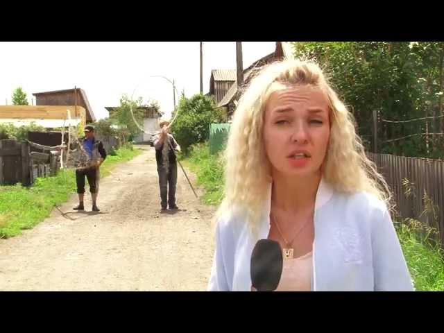 Бездомных собак станет меньше