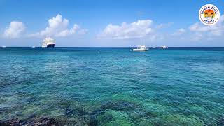 Pop up live from Carnival Paradise!