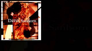 David Sanborn - A Tear for Crystal