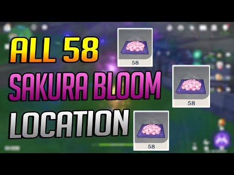 All Sakura Bloom Location For Kamisato Ayaka !!! ( Genshin Guide )