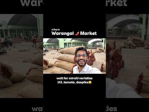 WGL Mirchi Market Mornings 🌶️  #warangal #telugu  #teluguvlogs #sandeepreddyvanga #business