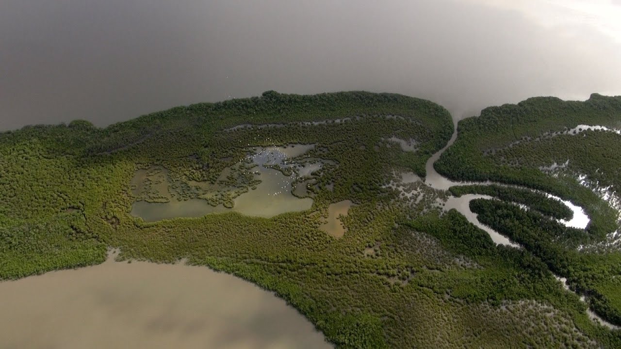 Promenade en Casamance vue du ciel