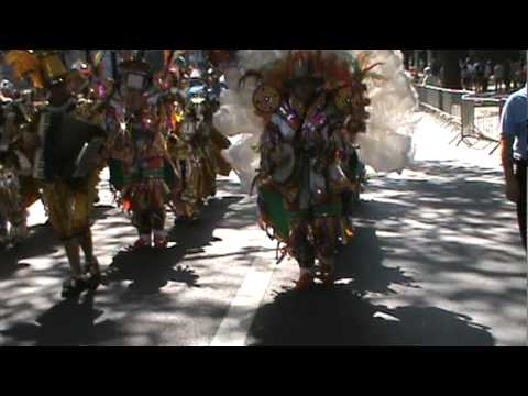 Aqua String Band 2010 - van Steuben Day Parade