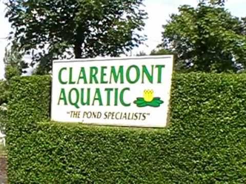 Welcome to Claremont Aquatic Nurseries, Leyland