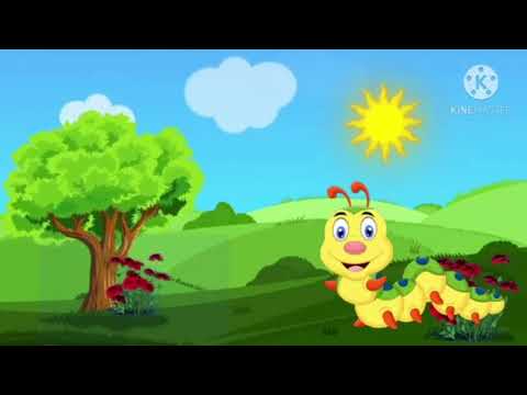 Música - A Lagarta Comilona