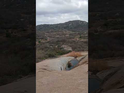 sitio caçibas em itapetim Pernambuco Laigedo de seo pretinho.