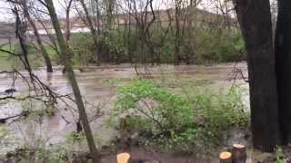 preview picture of video 'Deer Creek - Webster Groves, MO - April 7, 2015'