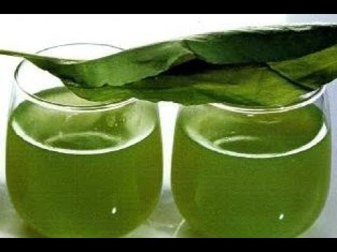 Kissel From Sorrel / Book of recipes / Bon Appetit