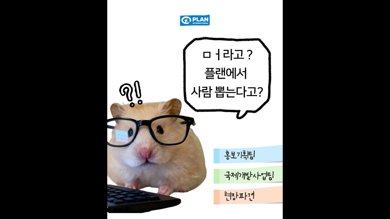 📢 드디어 떴다! 플랜코리아 인재채용 공고 📢 | 홍보기획팀, 국제개발사업팀